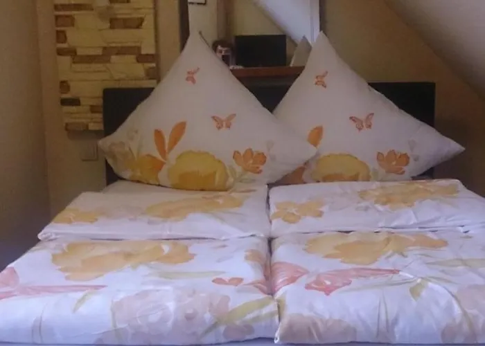 Bed and breakfast Europa 3*